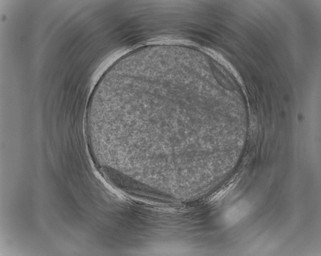 X0000060550855200512011614