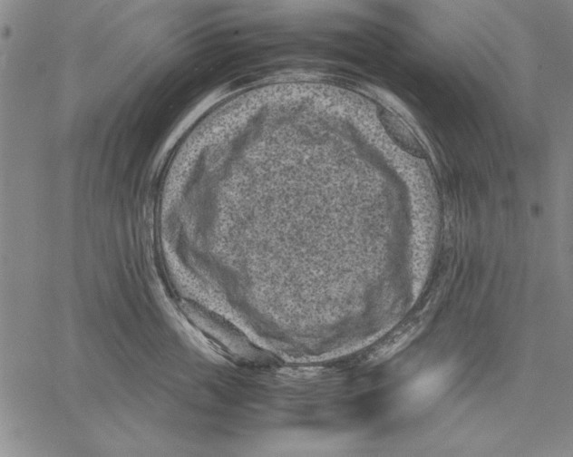 X0000060550859200512011614