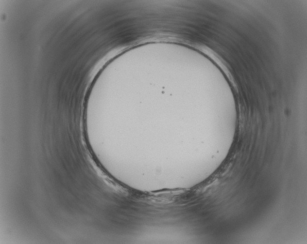 X0000060550861200512011614