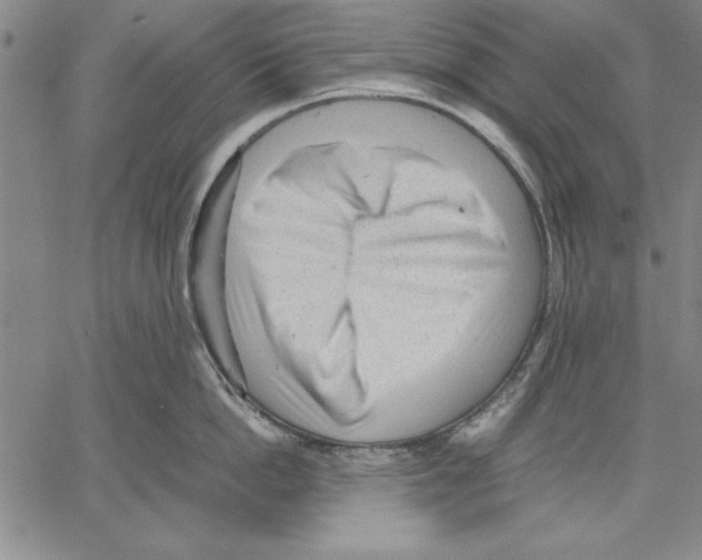 X0000060550862200512011614