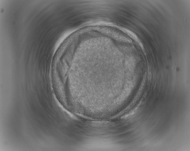 X0000060550863200512011614