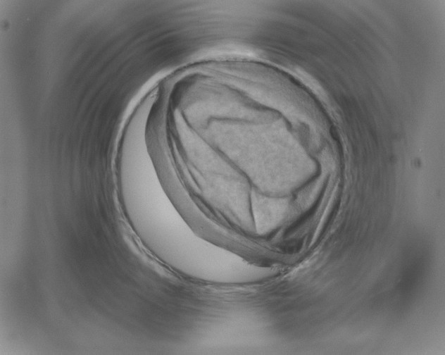 X0000060550864200512011614