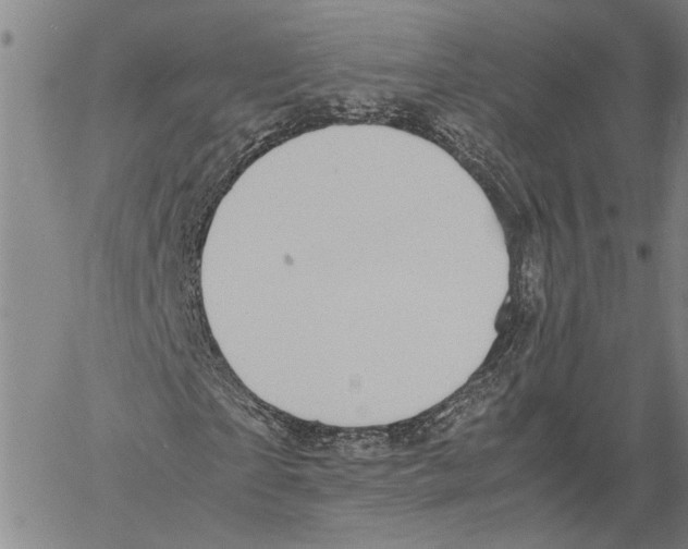 X0000060550865200512011614