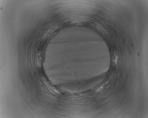 X0000060550868200512011614