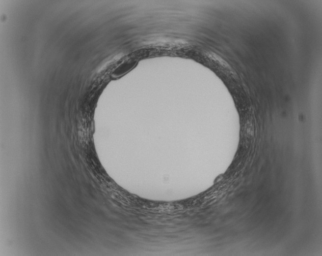 X0000060550869200512011614