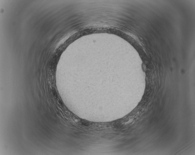 X0000060550871200512011614