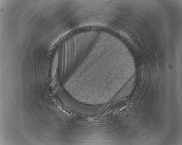 X0000060550872200512011614