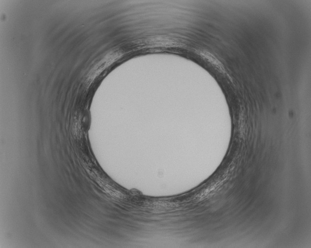 X0000060550873200512011614