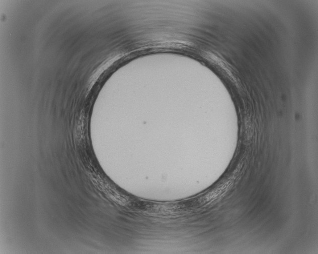 X0000060550875200512011614