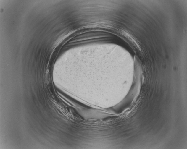 X0000060550876200512011614