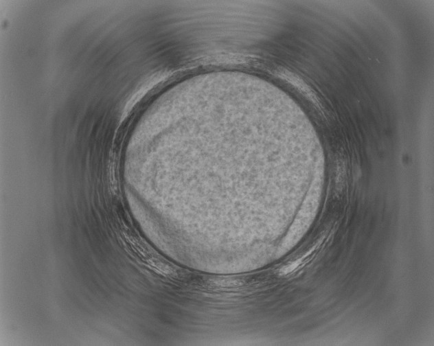 X0000060550878200512011613