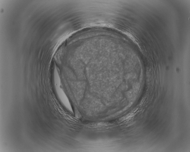 X0000060550879200512011613