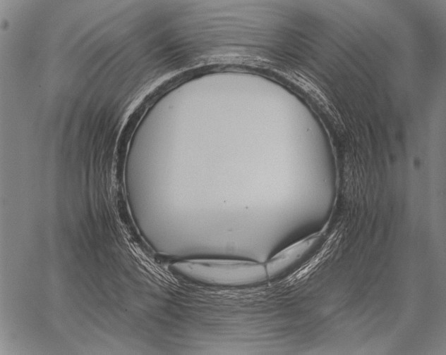 X0000060550880200512011613