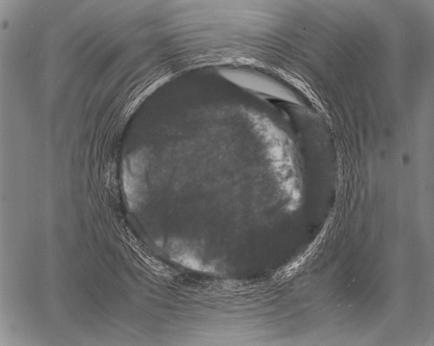 X0000060550881200512011613