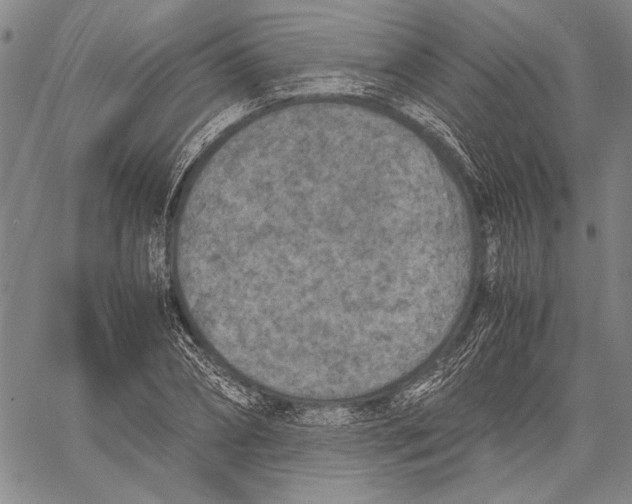 X0000060550882200512011613