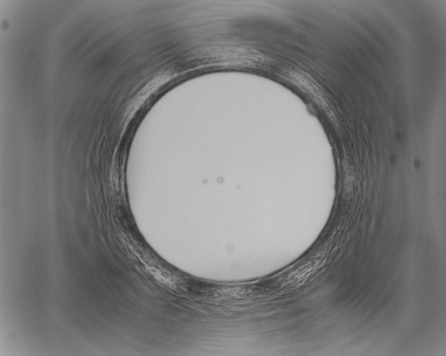 X0000060550883200512011613