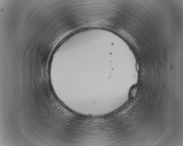 X0000060550884200512011613