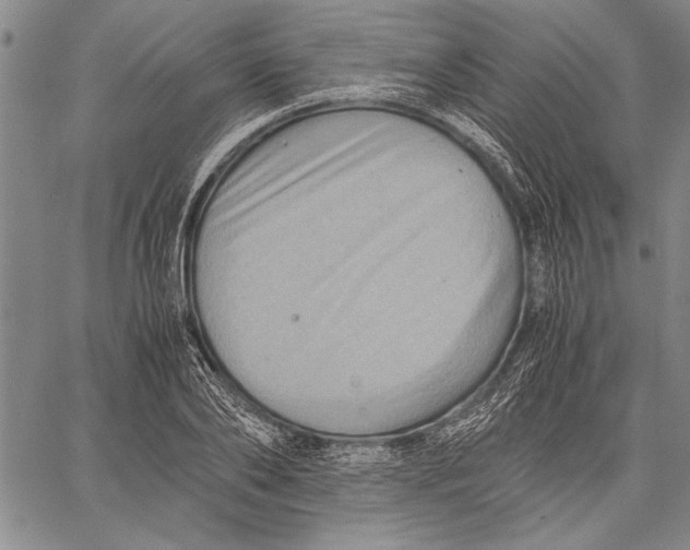 X0000060550886200512011613