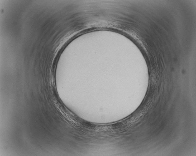 X0000060550887200512011613