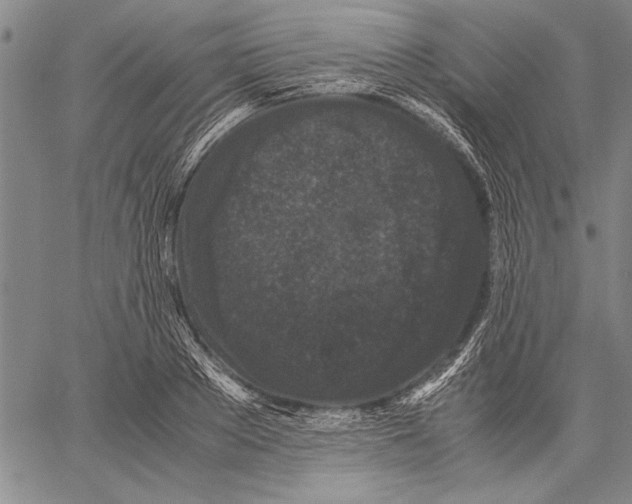 X0000060550889200512011613