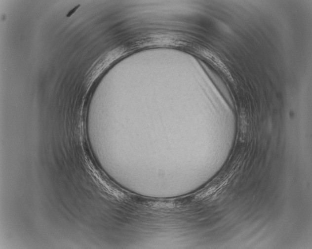 X0000060550890200512011613