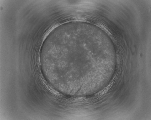 X0000060550891200512011613