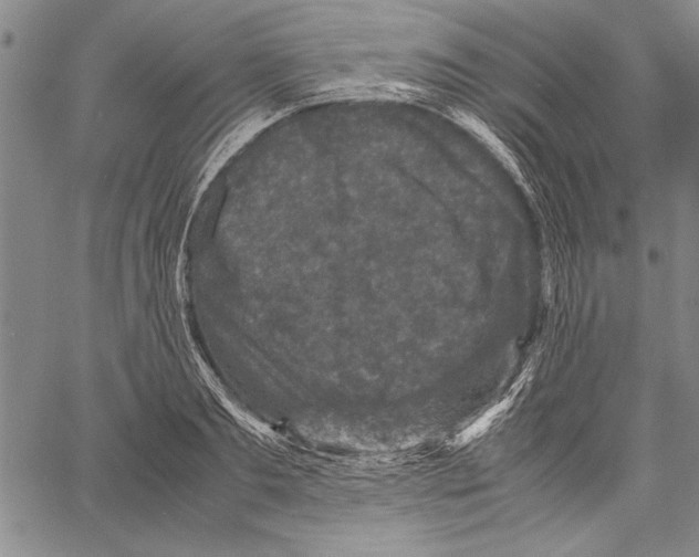 X0000060550893200512011613