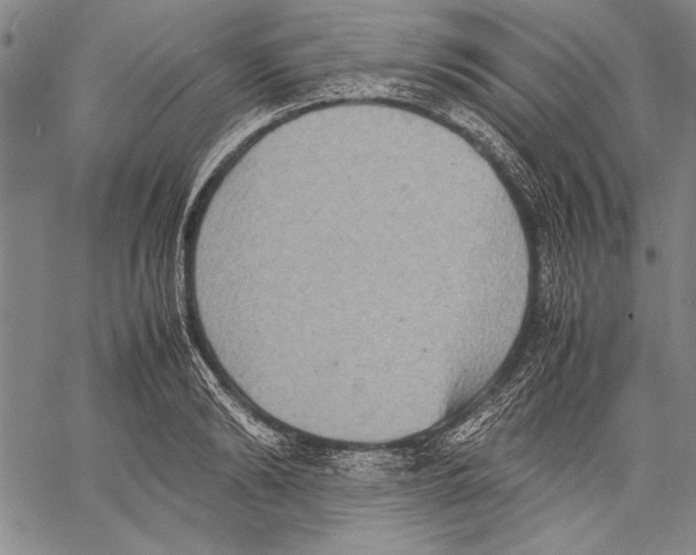 X0000060550894200512011613