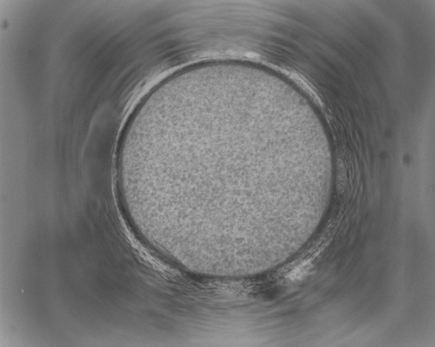 X0000060550895200512011613