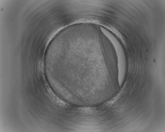 X0000060550896200512011613