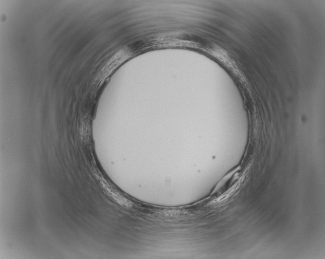 X0000060550897200512011613