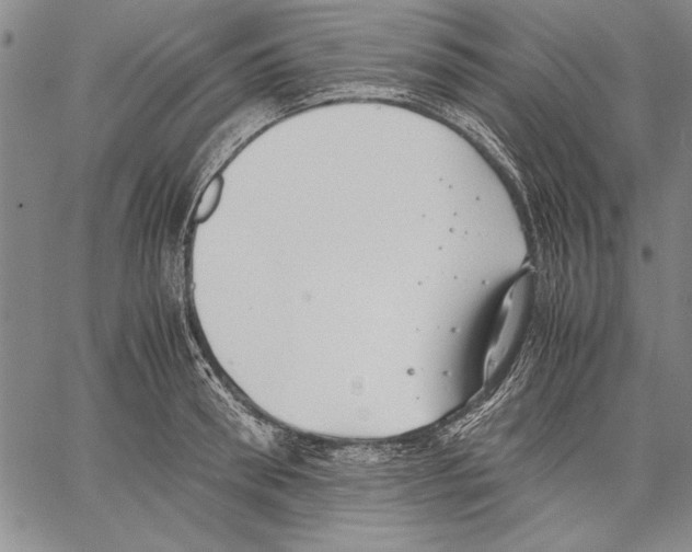 X0000060550898200512011613