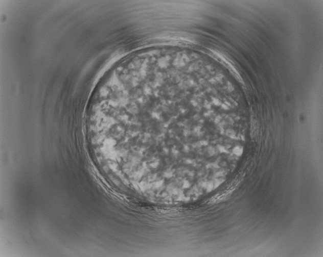 X0000060550899200512011613