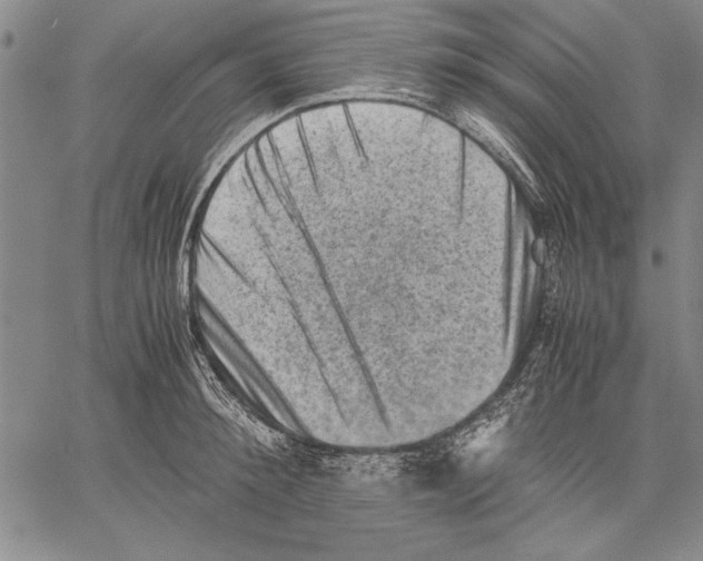 X0000060550900200512011613