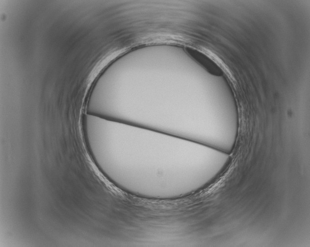 X0000060550901200512011613