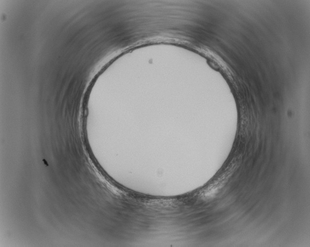 X0000060550902200512011613