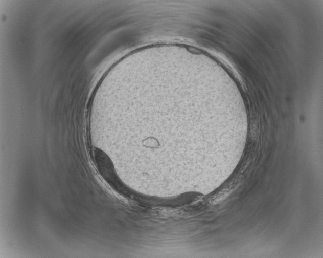 X0000060550903200512011613