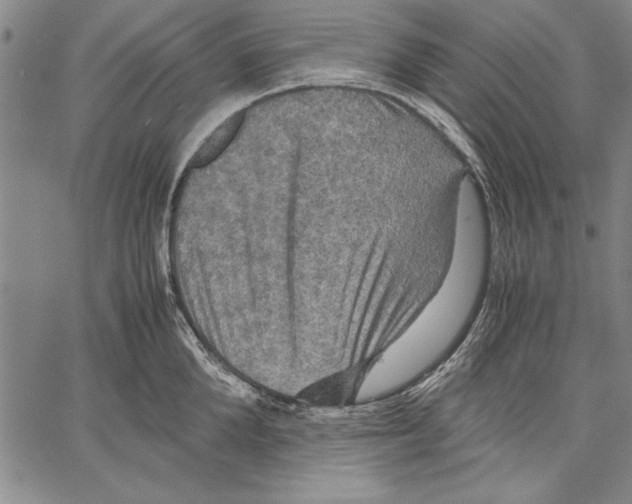 X0000060550904200512011613