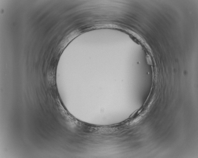 X0000060550905200512011613