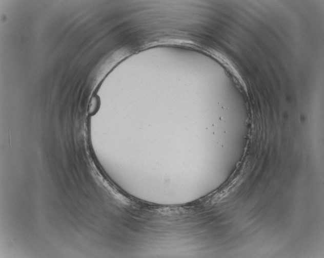 X0000060550906200512011613