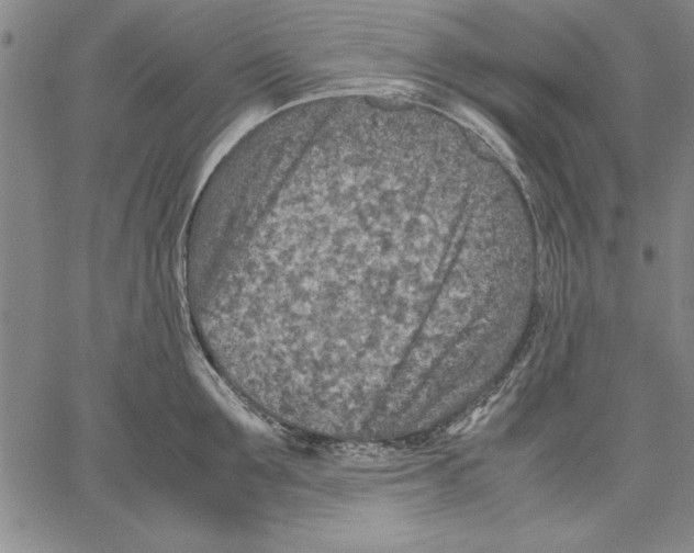 X0000060550907200512011613