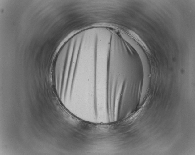 X0000060550908200512011613