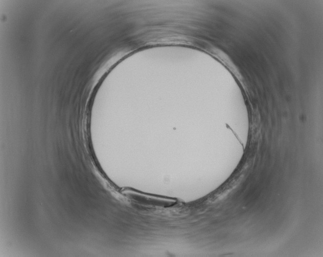 X0000060550909200512011613