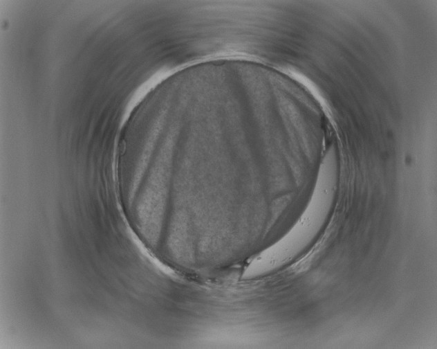 X0000060550910200512011613