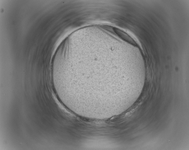 X0000060550911200512011613