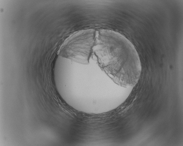 X0000060550913200512011612