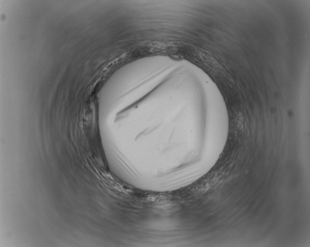 X0000060550914200512011612