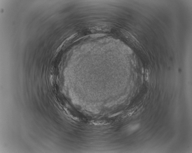 X0000060550915200512011612