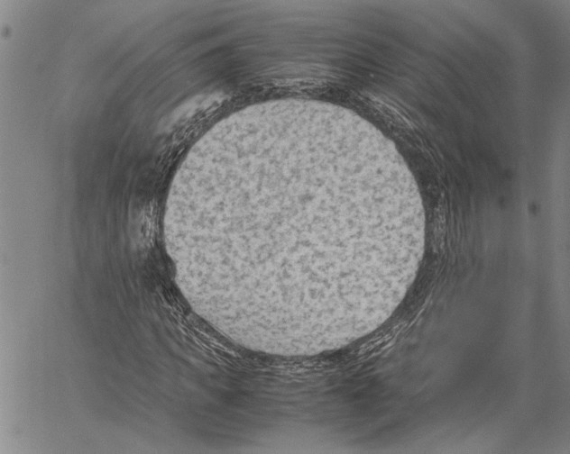 X0000060550917200512011612