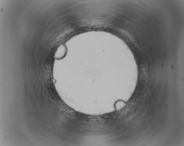 X0000060550918200512011612